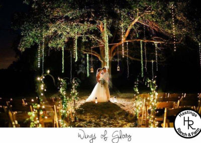 Bride and groom beneath the trees at night