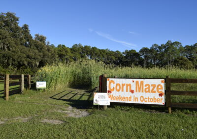 Hastings Ranch and Farm Corn Maze Entrance