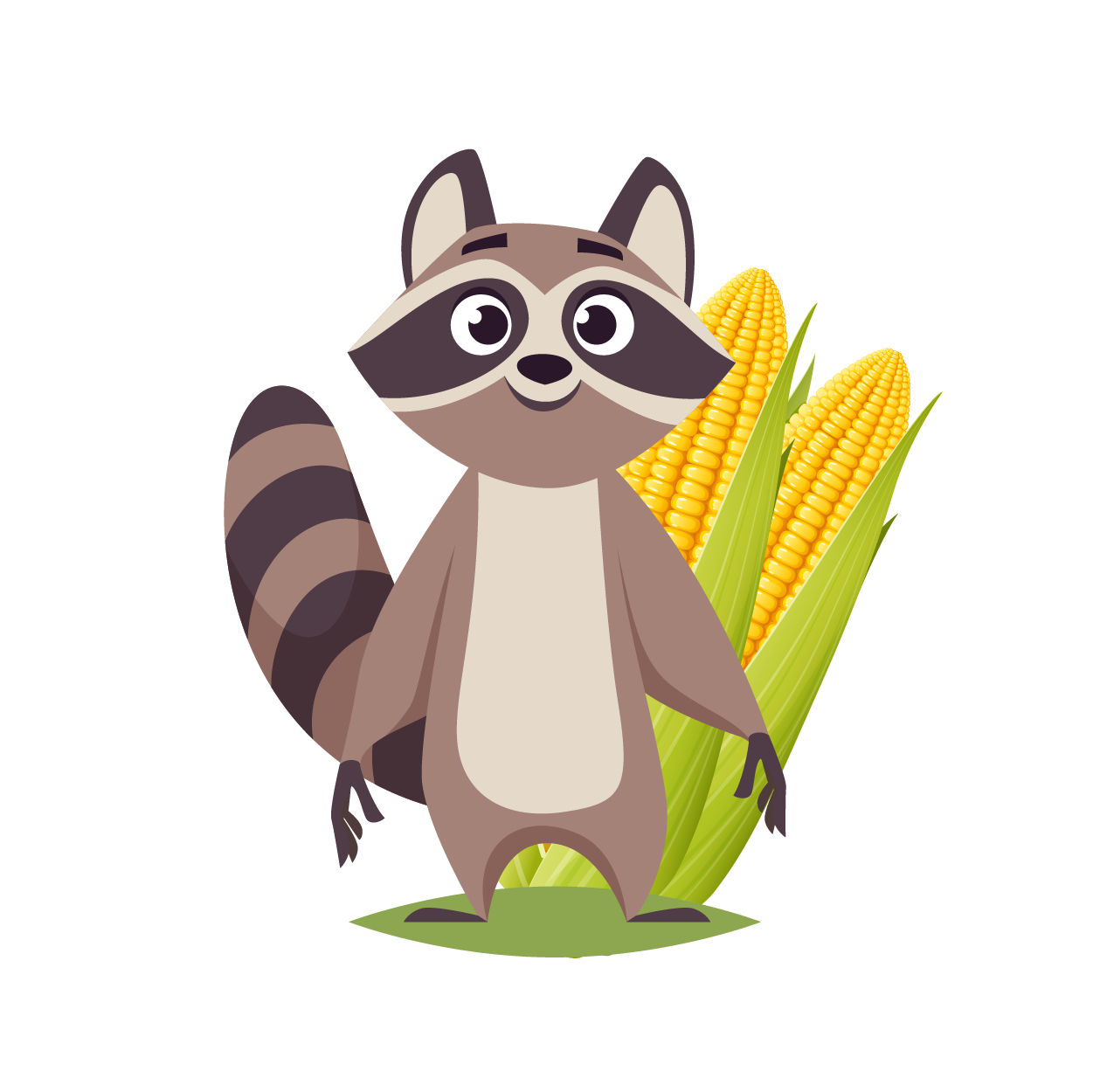 Hastings Racoon standing with ears yellow of corn