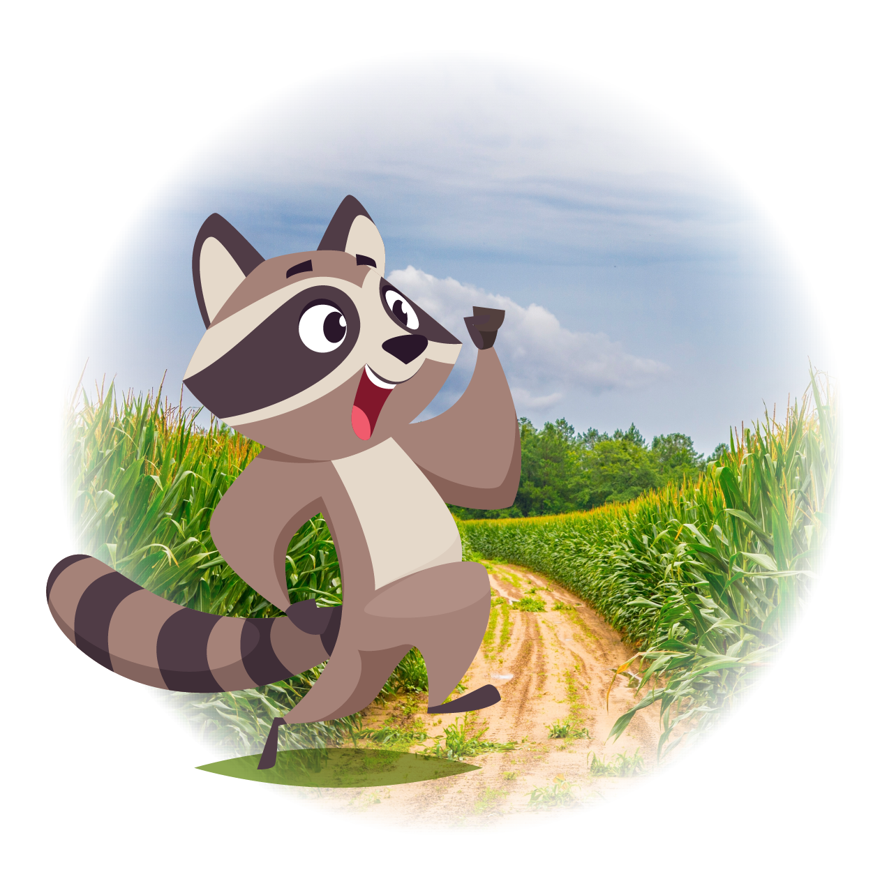 Hastings Racoon running through corn maze