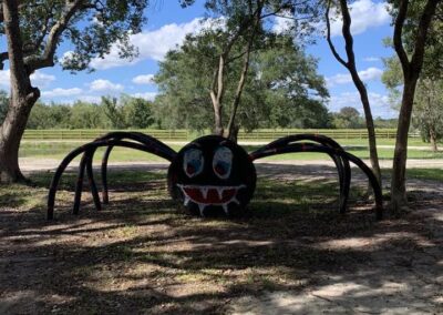 Huge Hay Decor Spider