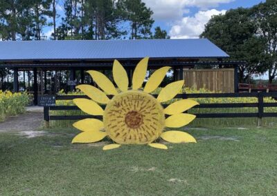 Huge Hay Decor Sunflower